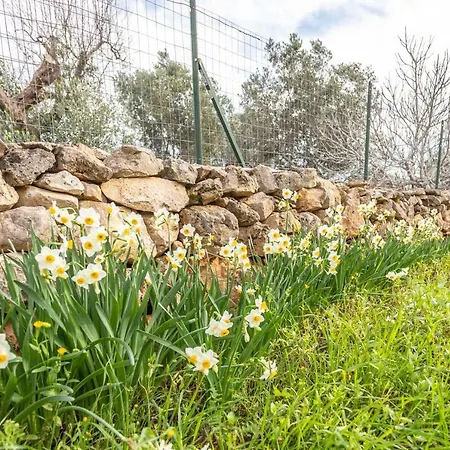 Trullo Marchese Semesterbostad