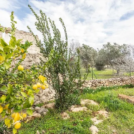 Trullo Marchese Semesterbostad *